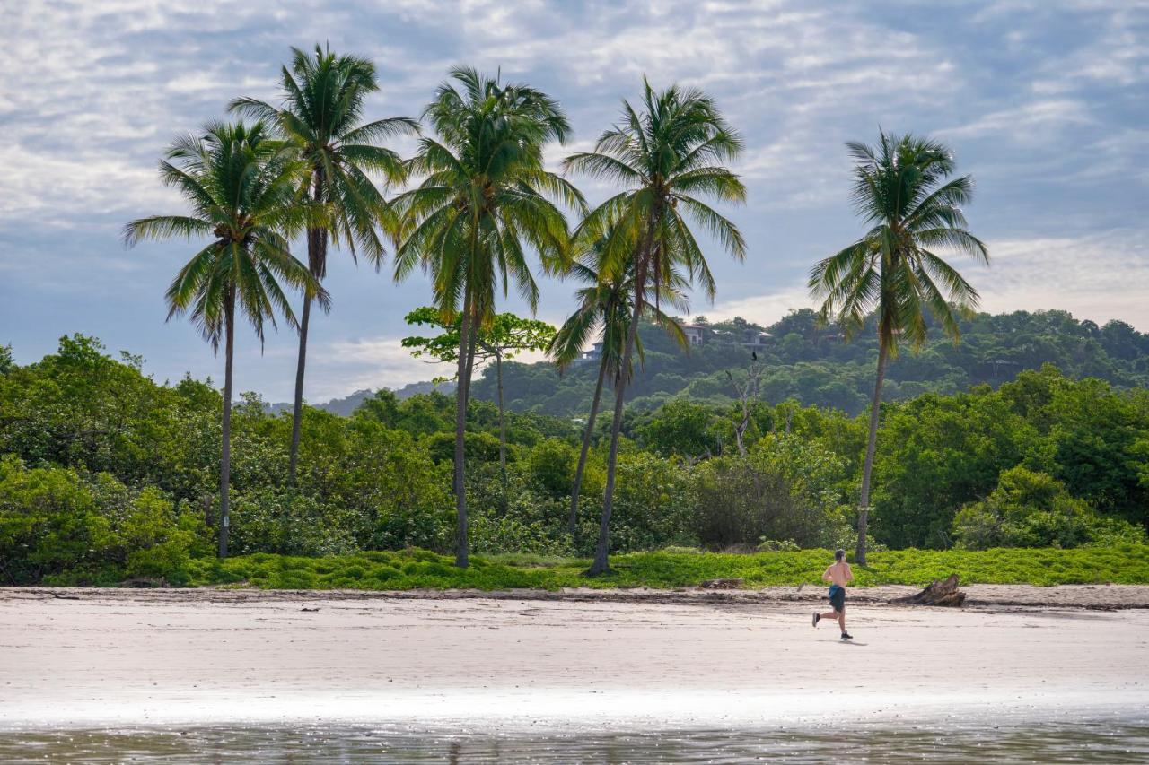 Iluminar Beachfront Suites Nosara Eksteriør bilde